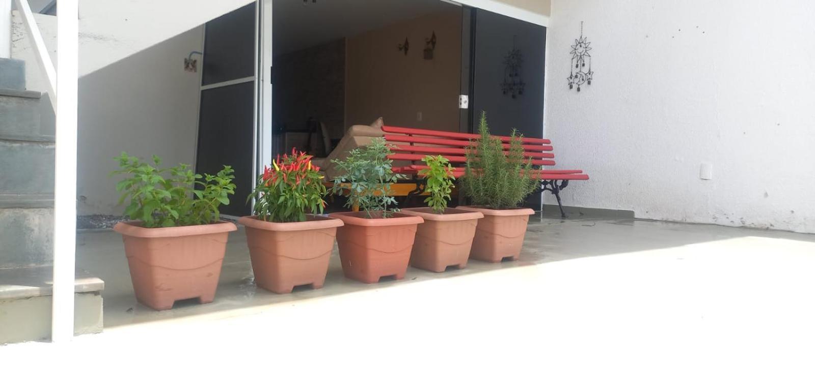Studio Do Wander Amparo  Exterior foto